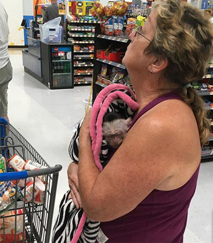 Descubre por qué los compradores de Walmart se han vuelto locos