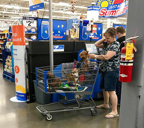 Descubre por qué los compradores de Walmart se han vuelto locos
