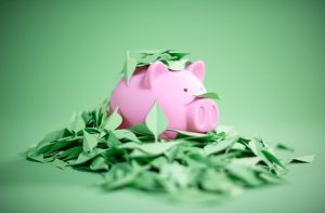 Descubre todo lo que tienes que saber sobre las finanzas verdes