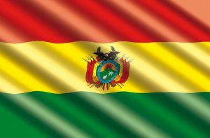 Bono Familia Bolivia - Aprenda cómo ordenar en línea