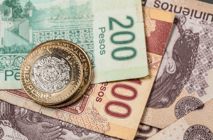 Cursos de Economía Fácil para Jóvenes - Mira las Opciones