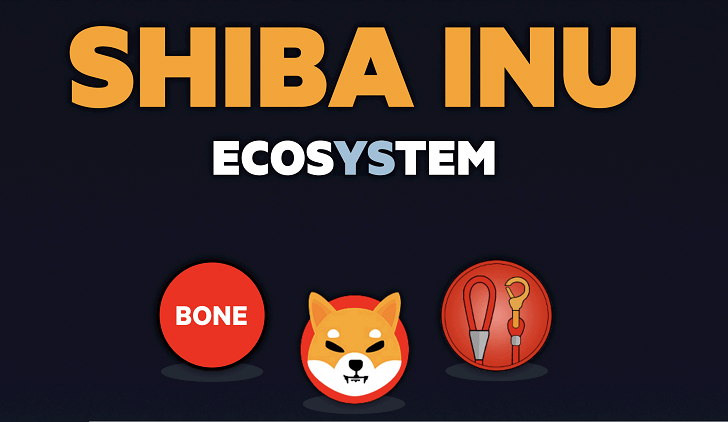 Shiba INU - Mira por qué es la Criptomoneda del Momento