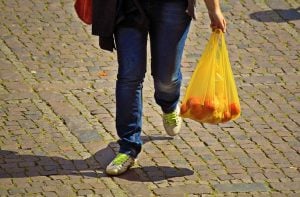 Programa de Apoyo Alimentario en México: Aprende Cómo Obtener Ayuda